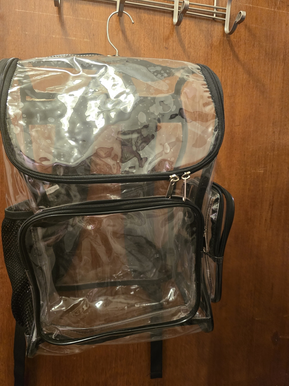 Clear PVC Black-Trim Men's Backpack - Transparent Travel Bag
